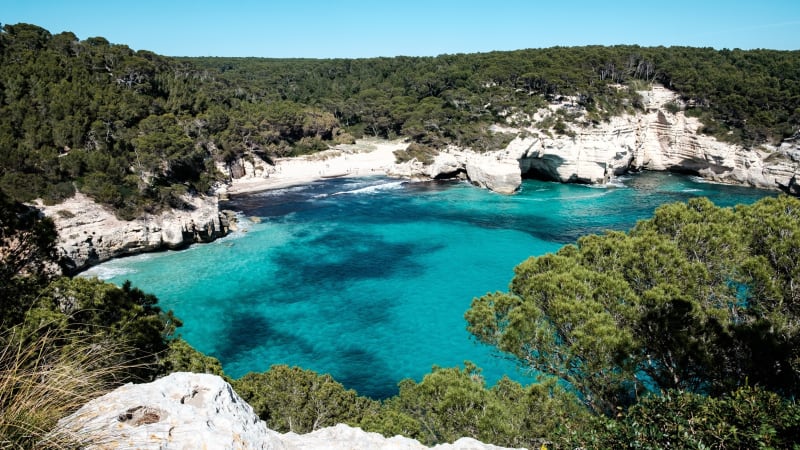 Aquesta imatge no s'ha pogut carregar!